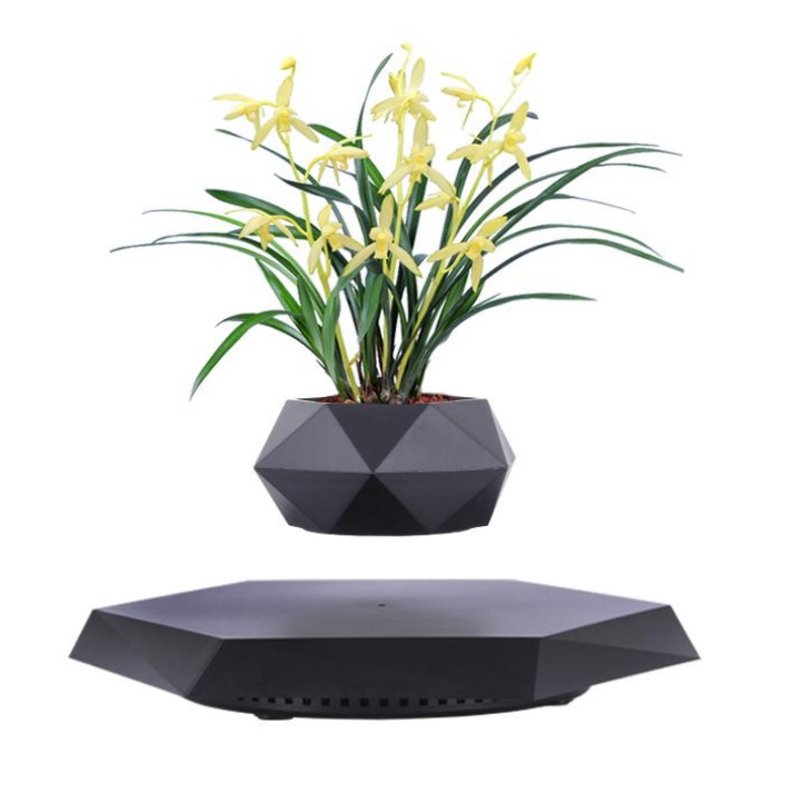 Maceteros para Bonsai Levitantes (2)